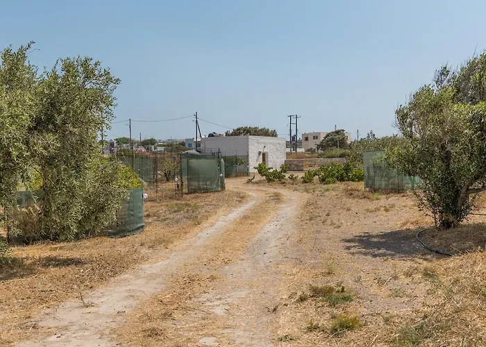 Paraspori בית נופש *