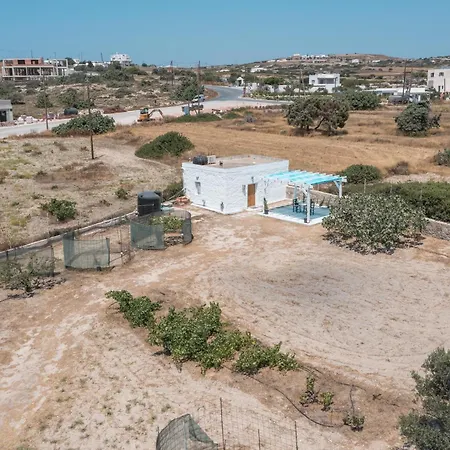 Paraspori אדאמאס